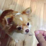 Thomas Shore - @warpatt - Instagram