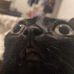 Thomas Shorter - Facebook