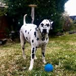 Thomas Shorter - @casleypichayh0 - Instagram