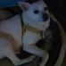 Thomas Shotts - Facebook
