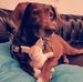 Thomas Schrodt - Facebook