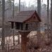 Thomas Shrum - Facebook