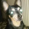 Thomas Shue - @2176915902 - TikTok