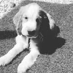 thomas sicard - @thomas_sicard - Instagram