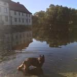 Thomas Siegfried - @tho.mas9538 - Instagram