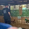 Thomas Siegfried (Siggi) - @thomas.immeler - TikTok