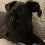 Thomas Siegler - @thomas_siegler81 - Instagram