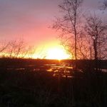 Thomas Siemer - @6517thomas - Instagram