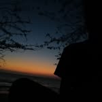 °  thomas sierra 🕸️° - @tomm650_0 - Instagram