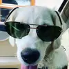 thomassigmund3 - @thomassigmund33 - TikTok