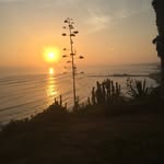 Thomas_SIlberberg_Bruno - @thomas.silberberg.bruno - Instagram