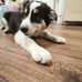 Tomas Simko - Facebook