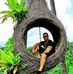 Thomas Simo - Facebook
