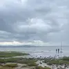 thomas.simo - @nothing.here____t - TikTok