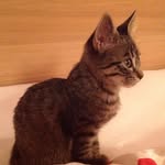 Thomas Simonet - @thomassimonet69110 - Instagram