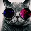 thomassimonet558 - @thomassimonet558 - TikTok