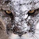 Thomas Simonsen - @thomas.simonsen74 - Instagram