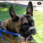 Thomas Simpkins - @simpkins_ - Instagram