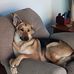 Thomas Simpkins - Facebook