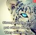 Thomas Seidel - Facebook
