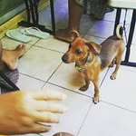 @thomassine.axel - Instagram