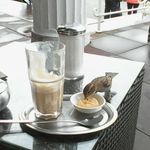 Thomas Singer - @fliesensinger - Instagram
