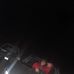 Thomas Allen Singletary - Facebook