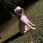 Thomas Sipe - @thomas.sipe.165 - Instagram