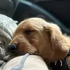 thomastuersipos - @thomastuersipos - TikTok