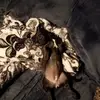 thomassisneros491 - @thomassisneros491 - TikTok