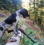Thomas Sittler - Facebook