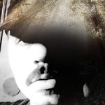 Thomas Sitton-Hoffman - @sittom44 - Instagram