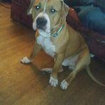 Thomas Sitton-Hoffman - @sittonhoffman - Instagram