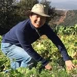 Thomas Siu - @thomasskp - Instagram
