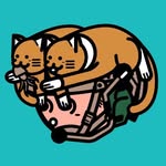 Thomas Siu - @thomas____siu - Instagram