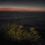 Thomas Skaggs - @slteats - Instagram