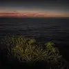 thomasskaggs42 - @thomasskaggs42 - TikTok