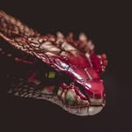 Bill_Thomas_Killman - @the_serpent_na - Instagram