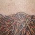 Thomas Slaven - Facebook