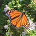 Thomas Snee - Facebook