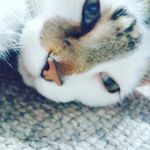 Thomas Snelling - @dabey.t - Instagram