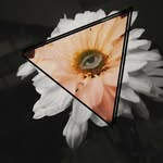 Thomas Soler - @_solerph_ - Instagram