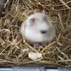 thomasholiday - @thomasholiday58 - TikTok