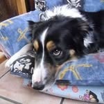 Thomas Soller - @thomas.soller.3 - Instagram