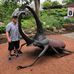 Thomas Sommers - Facebook