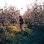 Thomas Sommerszeit - @thomassommerszeit - Instagram