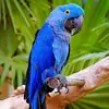 Thomas Sanssoucy - @thomas.sanssoucy - TikTok
