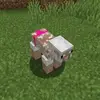Thomas Southern - @madladthomas - TikTok