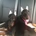 Thomas Sowers - Facebook
