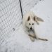 Tom Sowinski - Facebook